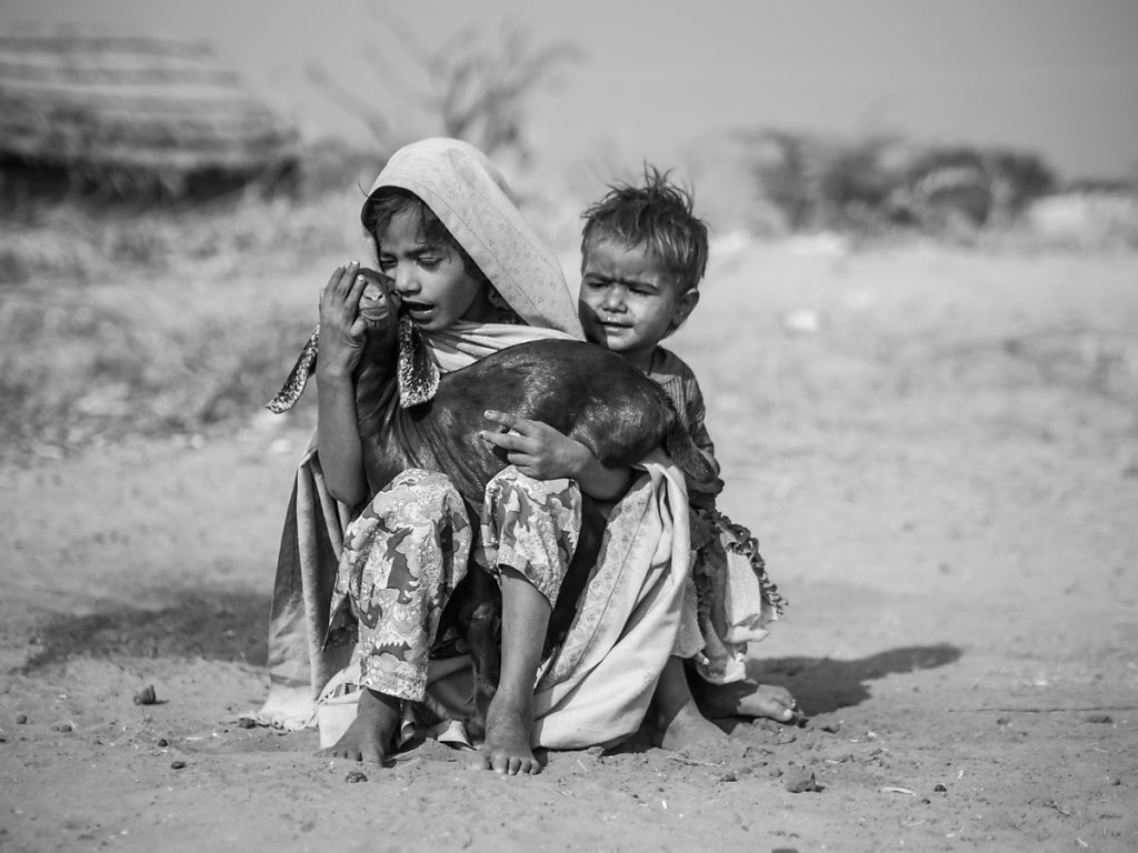Children and animals cuddle, Village near Pushkar - Rajasthan